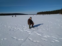 Mestari v 2017 onkii